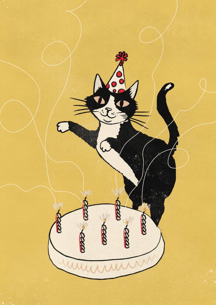 Whimsical Birthday Cat by Nicholas — canvas wall art
