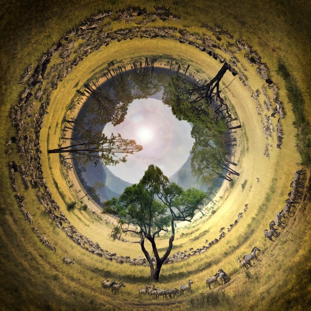 African Safari Planet by Alberto Ghizzi Panizza — canvas wall art