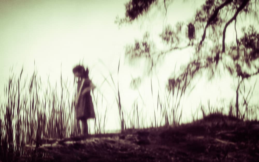 Dreamy Child In Reeds by Despird Zhang — canvas wall art