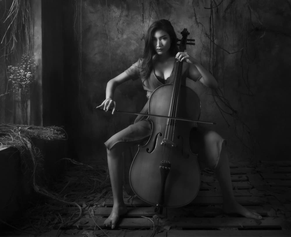 Moody Cello Player by Sebastian Kisworo — canvas wall art