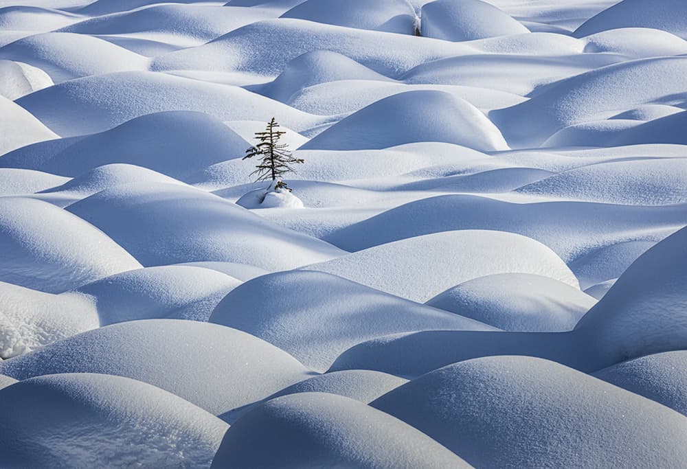 Rolling Snow Hills by Yun Thwaits — canvas wall art