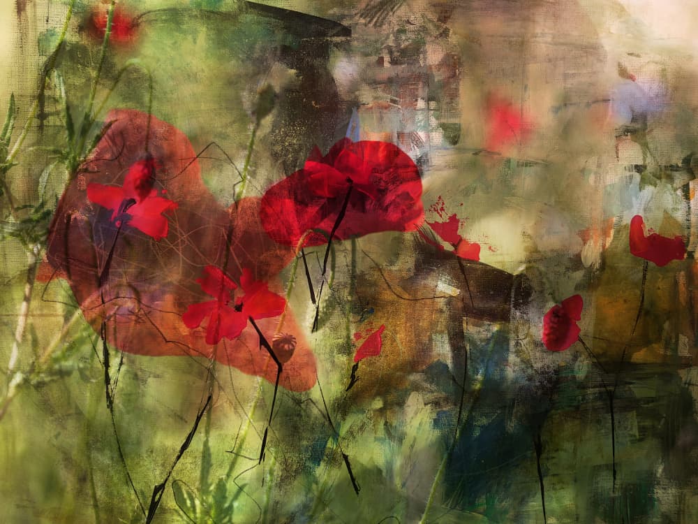 Painterly Red Poppies by Ellen van Deelen — canvas wall art