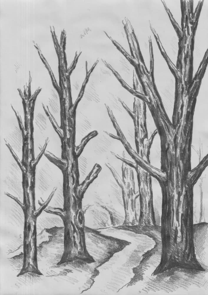 Path Through Stark Trees by Kulik — canvas wall art