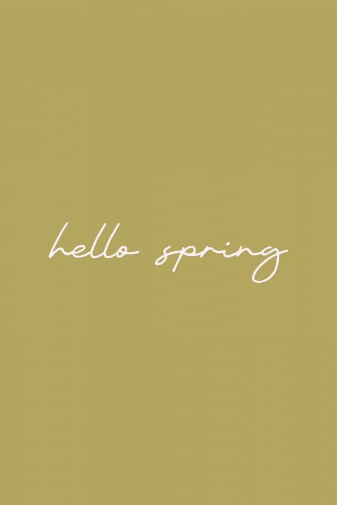 Hello Spring Script by Karen Menzenbach — canvas wall art