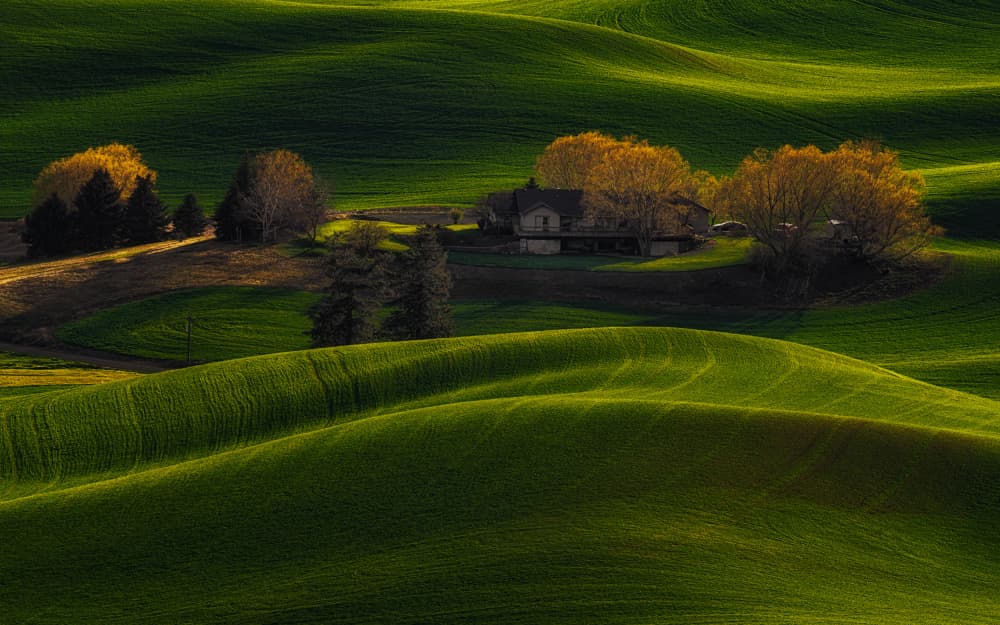 Rolling Green Hills Farmhouse by Lydia Jacobs — canvas wall art
