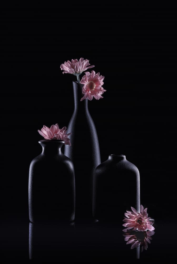 Soft Pink Blooms by Linda Lu — canvas wall art