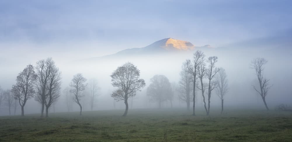 Misty Morning Mountain by Nina Pauli — canvas wall art