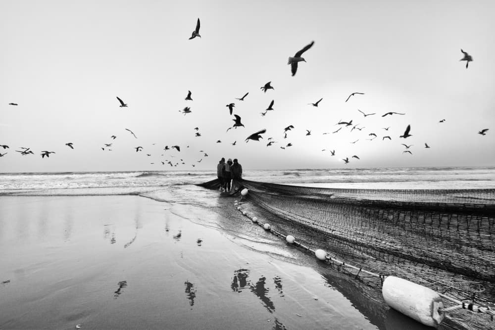 Coastal Fishing Dawn by Josefina Melo — canvas wall art