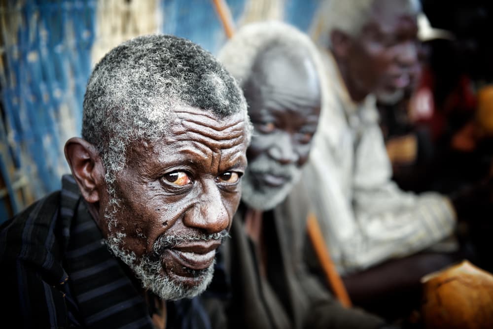 African Elder's Wise Gaze by Trevor Cole — canvas wall art