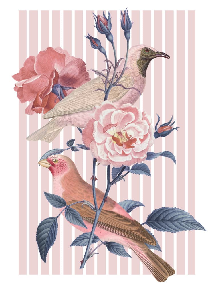 Vintage Rose Birds by Marja van den Hurk — canvas wall art