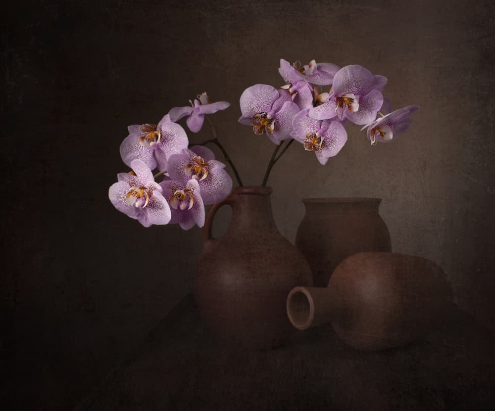 Purple Orchid Still Life by Margareth Perfoncio — canvas wall art