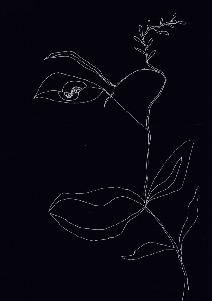 Elegant Orchid Line Art by Santhosh ch — canvas wall art