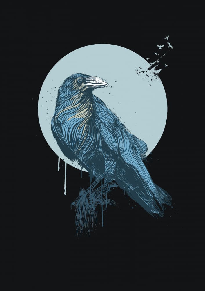 Moonlight Raven by Balazs Solti — canvas wall art