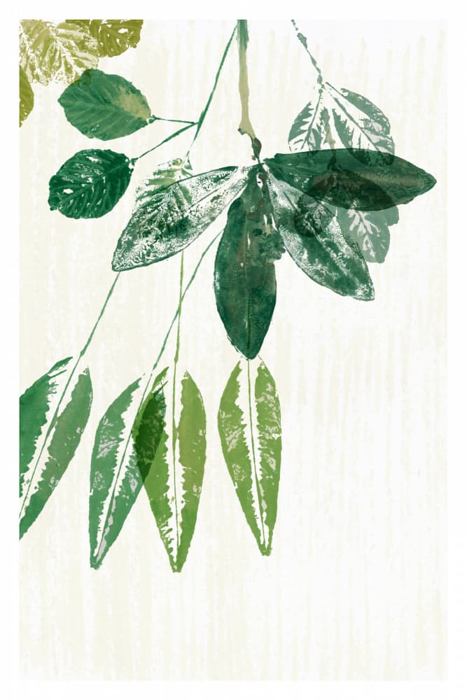 Botanical Green Leaves by cartissi — canvas wall art