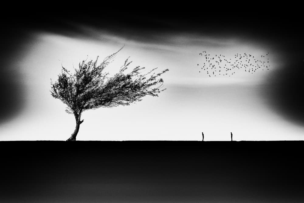 Wind Blown Horizon by Marchevca Bogdan — canvas wall art