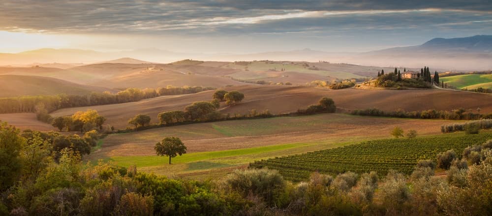 Tuscan Morning Glow by Peter Svoboda MQEP — canvas wall art