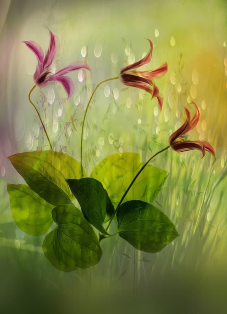Dreamy Garden Flowers by Hilda van der Lee — canvas wall art