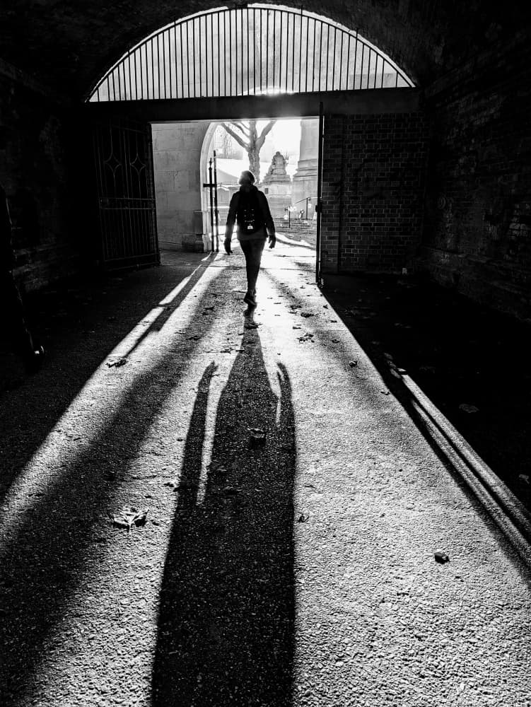 Long Shadow Path by Elizabeth Allen — canvas wall art