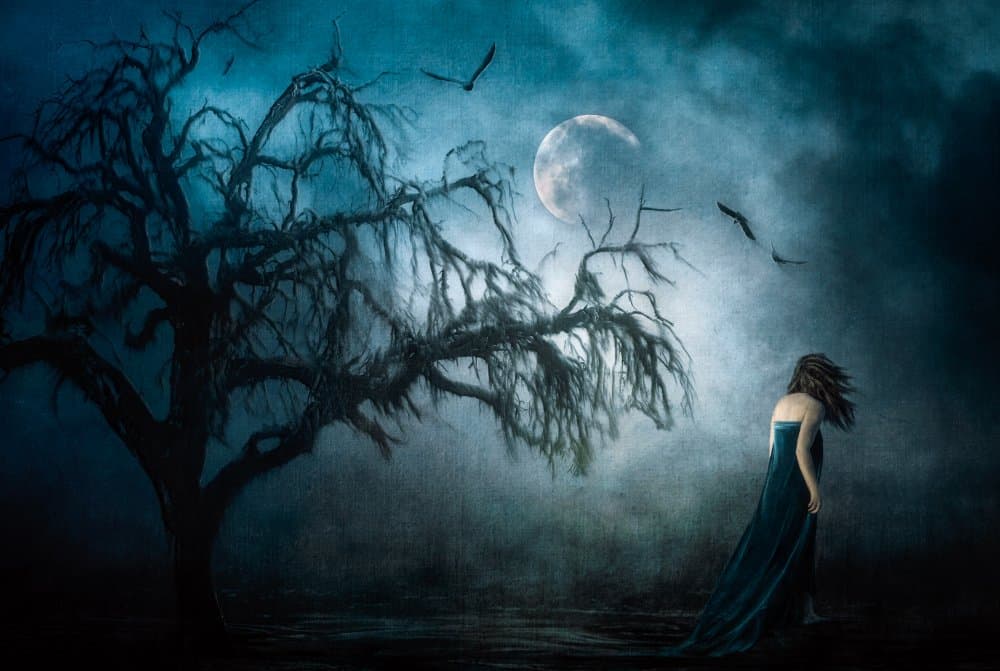 Lone Woman Moonlit Night by Charlaine Gerber — canvas wall art