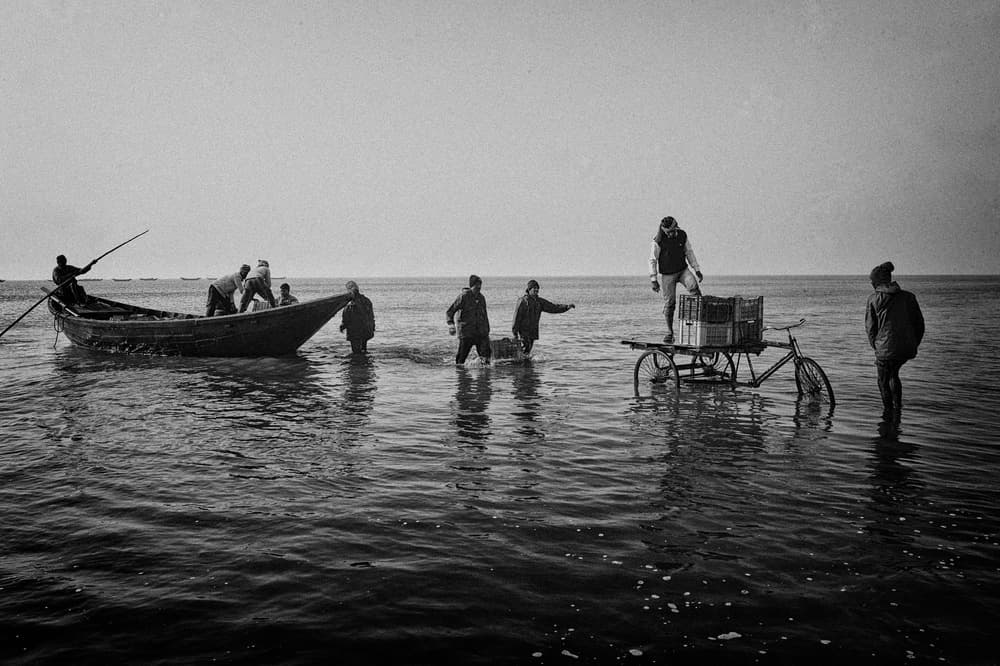 Coastal Catch Transport by Avishek Das — canvas wall art