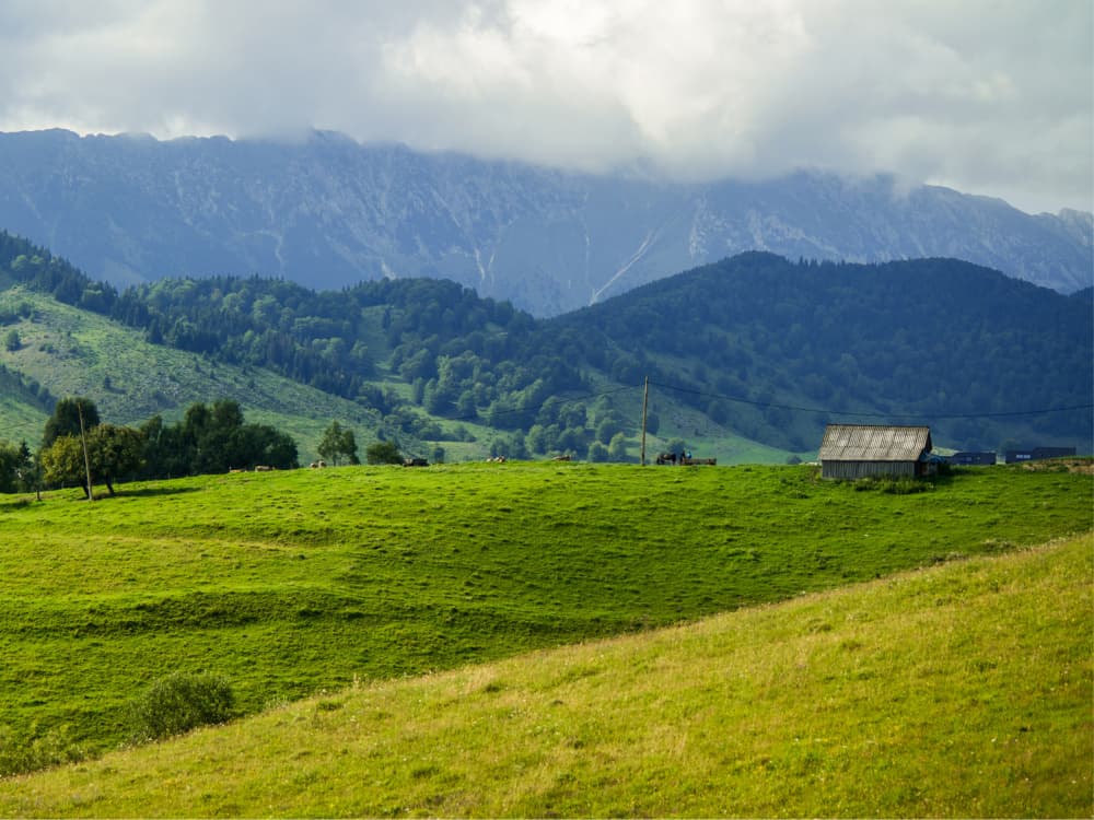 Green Mountain Pasture by Mathieu jeuf — canvas wall art