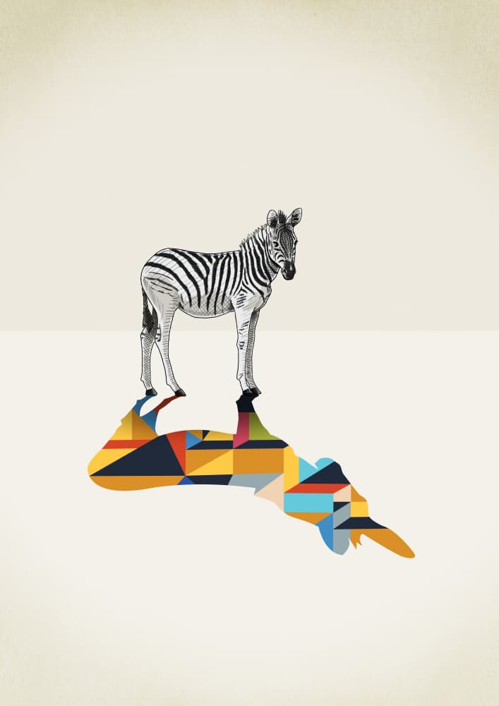 Zebra Geometric Shadow by Jason Ratliff — canvas wall art