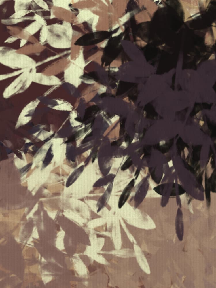 Shadowy Botanical Strokes by Dina Dankers — canvas wall art