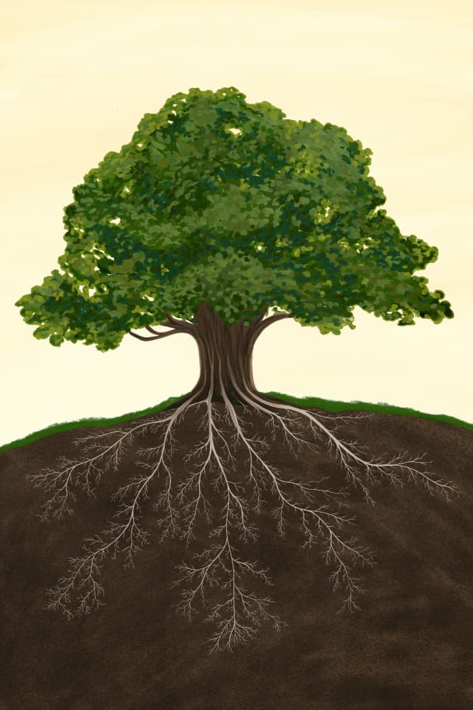 Strong Tree Deep Roots by EMELIEmaria — canvas wall art