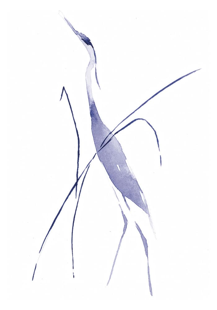 Graceful Blue Heron by RodMacIver — canvas wall art