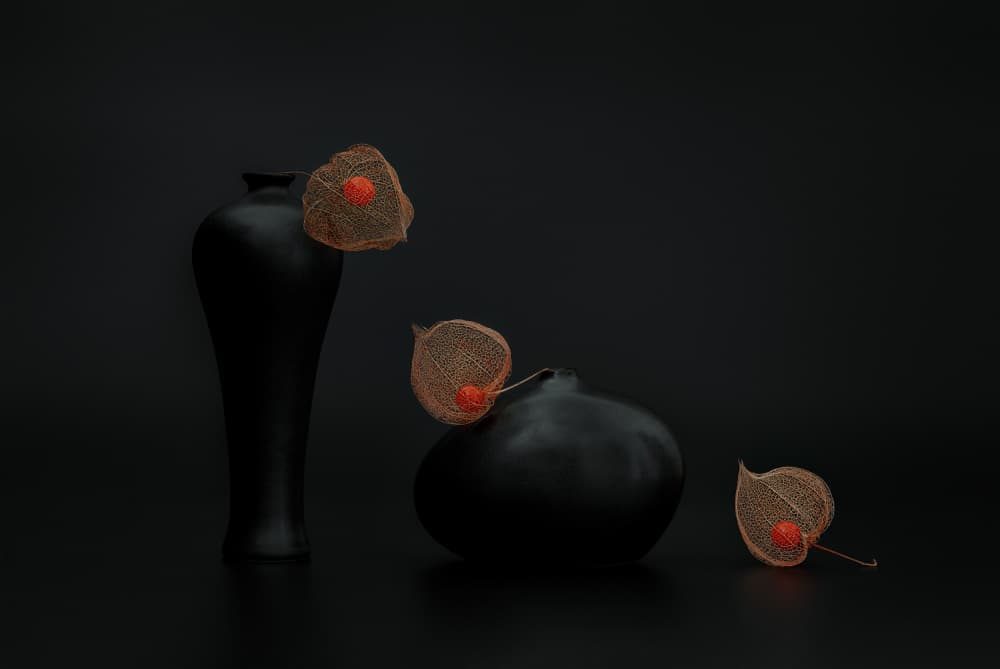 Chinese Lanterns Black Vases by Lydia Jacobs — canvas wall art