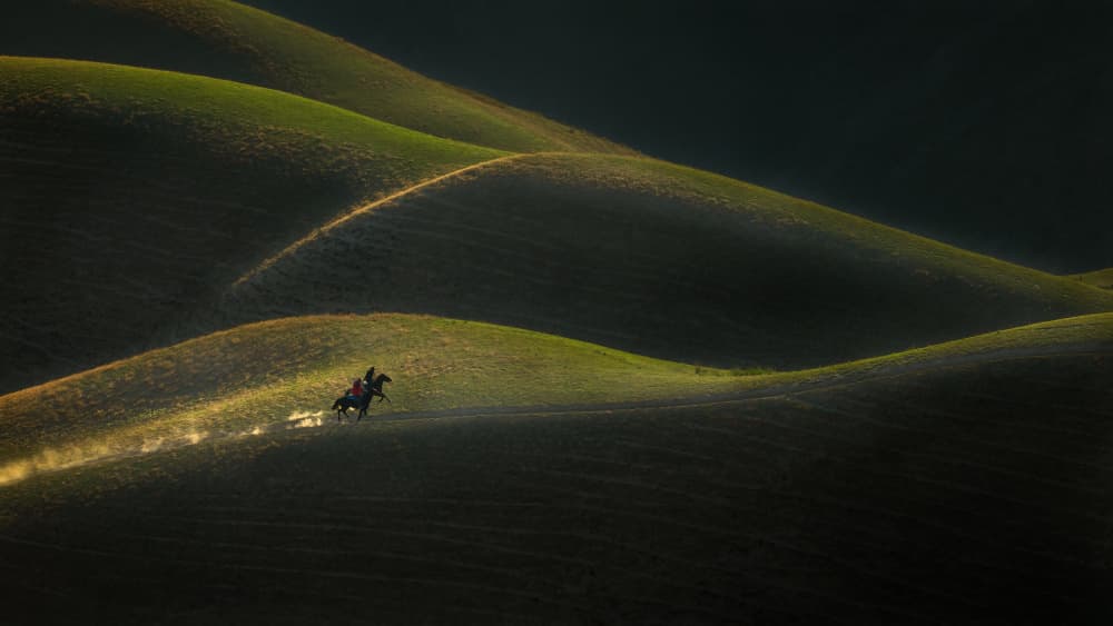 Golden Light Gallop by Dennis Zhang — canvas wall art