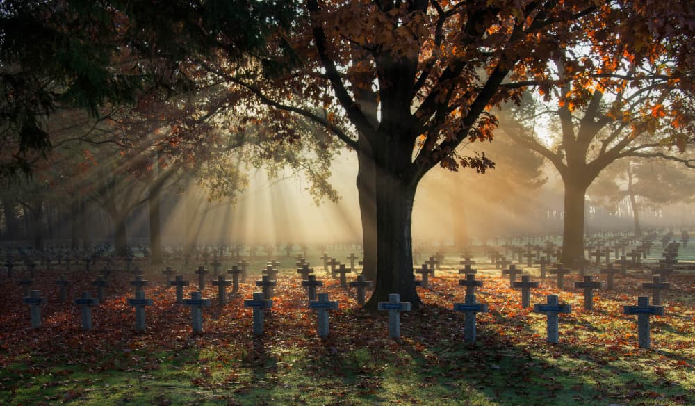 Sunlit Autumn Graveyard by Wim Denijs — canvas wall art