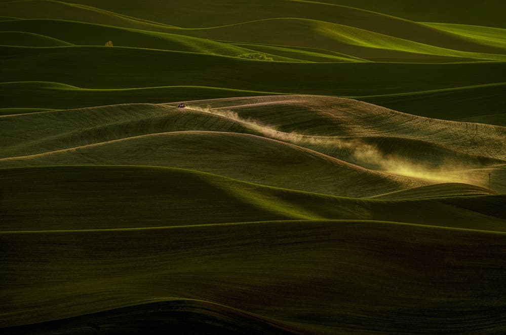 Golden Dust Over Hills by Lydia Jacobs — canvas wall art