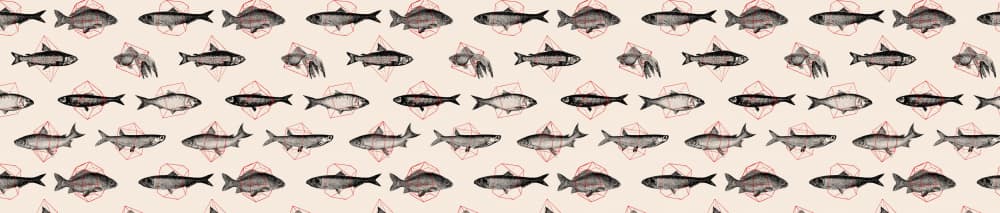 Subtle Fish Pattern by Florent Bodart — canvas wall art