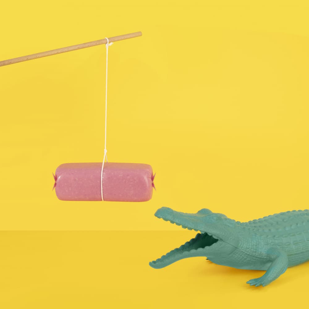 Hungry Alligator Bait by Julia Ramiro — canvas wall art