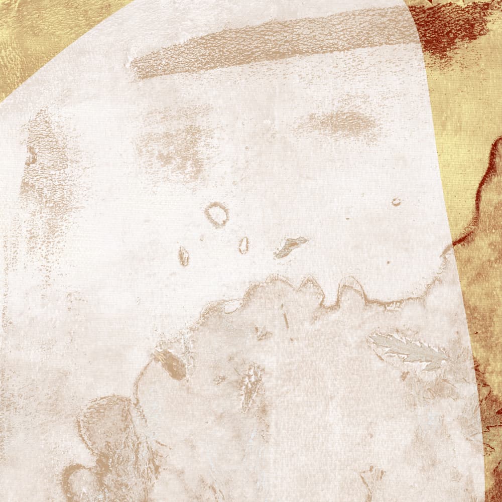 Earthy Abstract Textures by Dina Dankers — canvas wall art