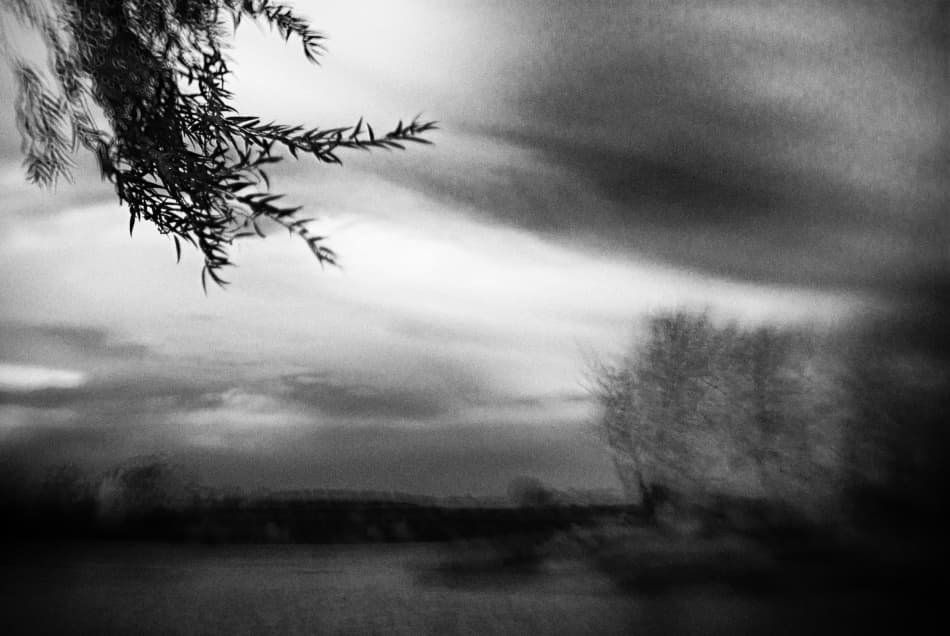 Dreamy Willow Landscape by Codrin Lupei — canvas wall art