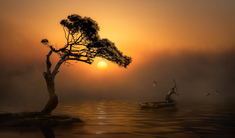 Serene Sunset Tree by Charlaine Gerber — canvas wall art