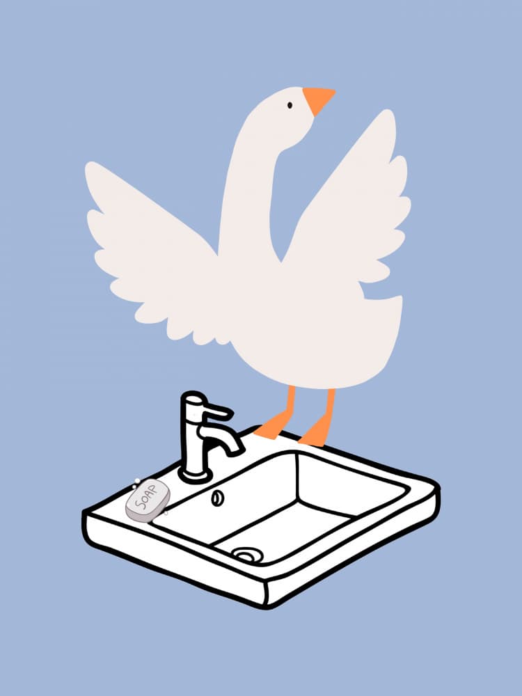 Silly Goose Sink Time by Jolly and Dash — canvas wall art