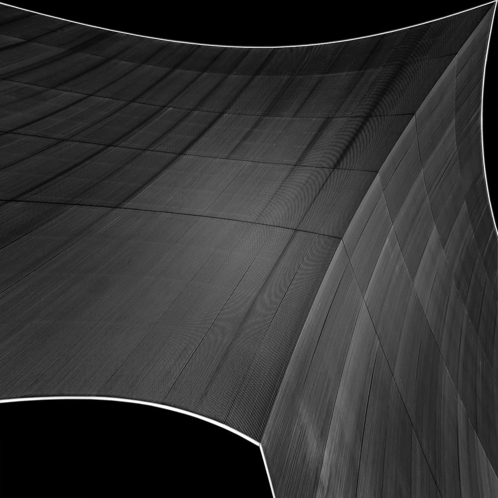 Dynamic Curved Lines by Paulo Abrantes — canvas wall art