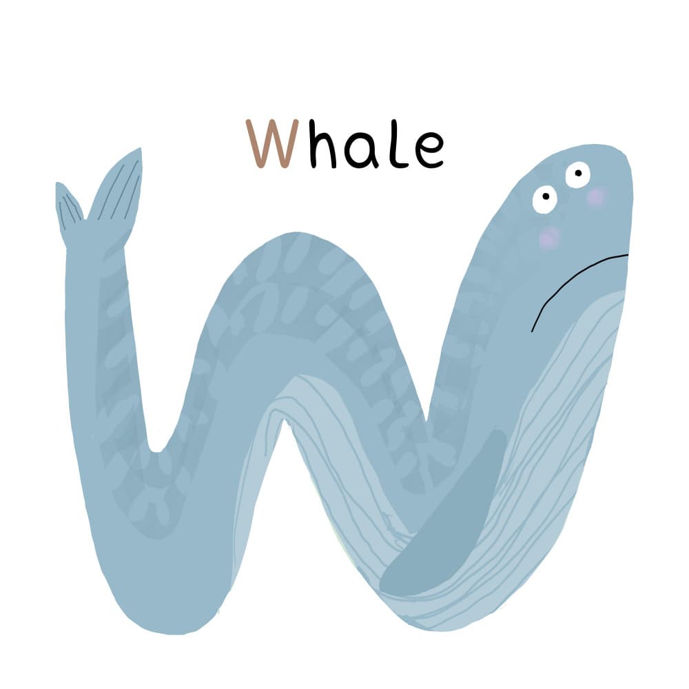 W Is For Whale by Carla Daly — canvas wall art