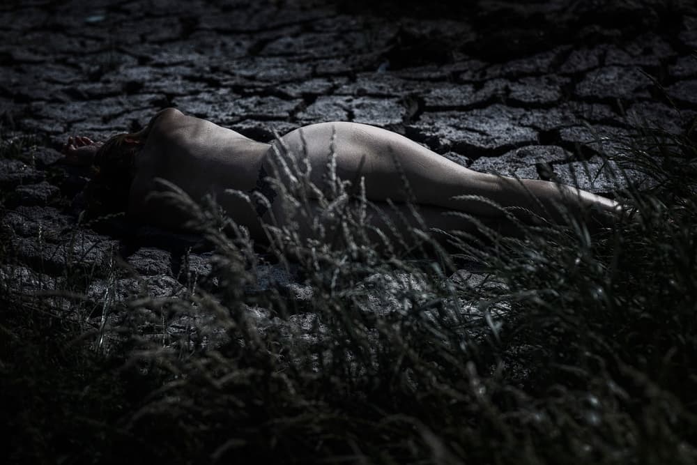 Fallen by Jacob Tuinenga — canvas wall art