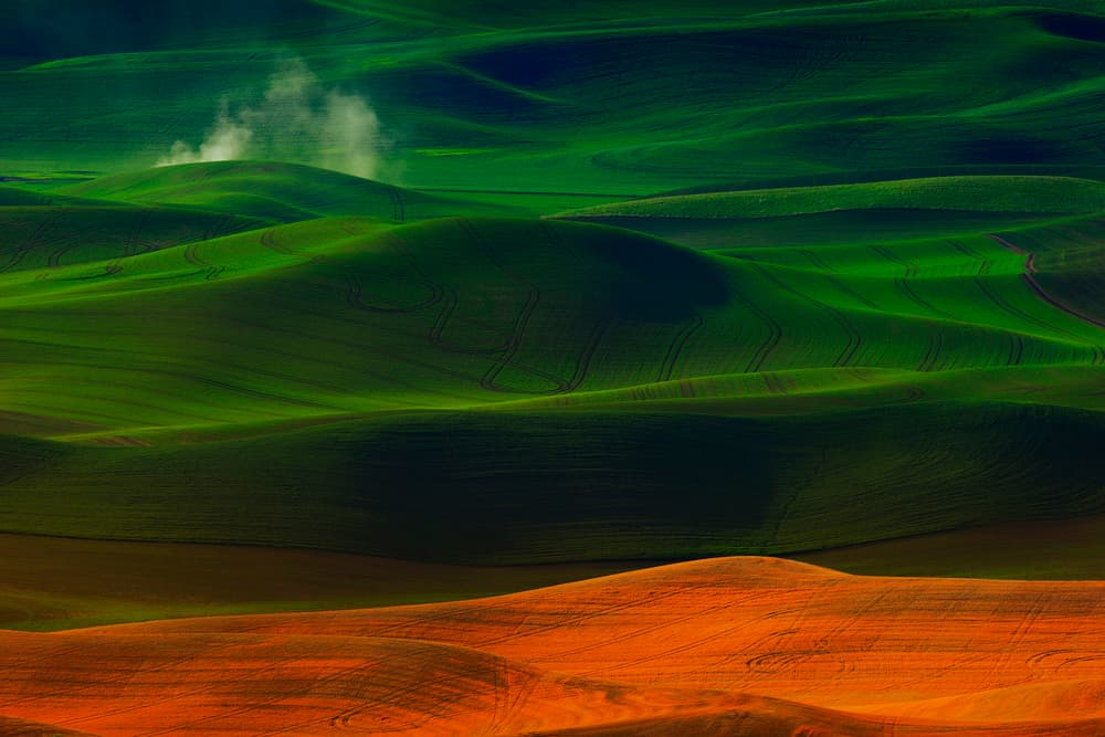 Green Orange Rolling Fields by Phillip Chang — canvas wall art