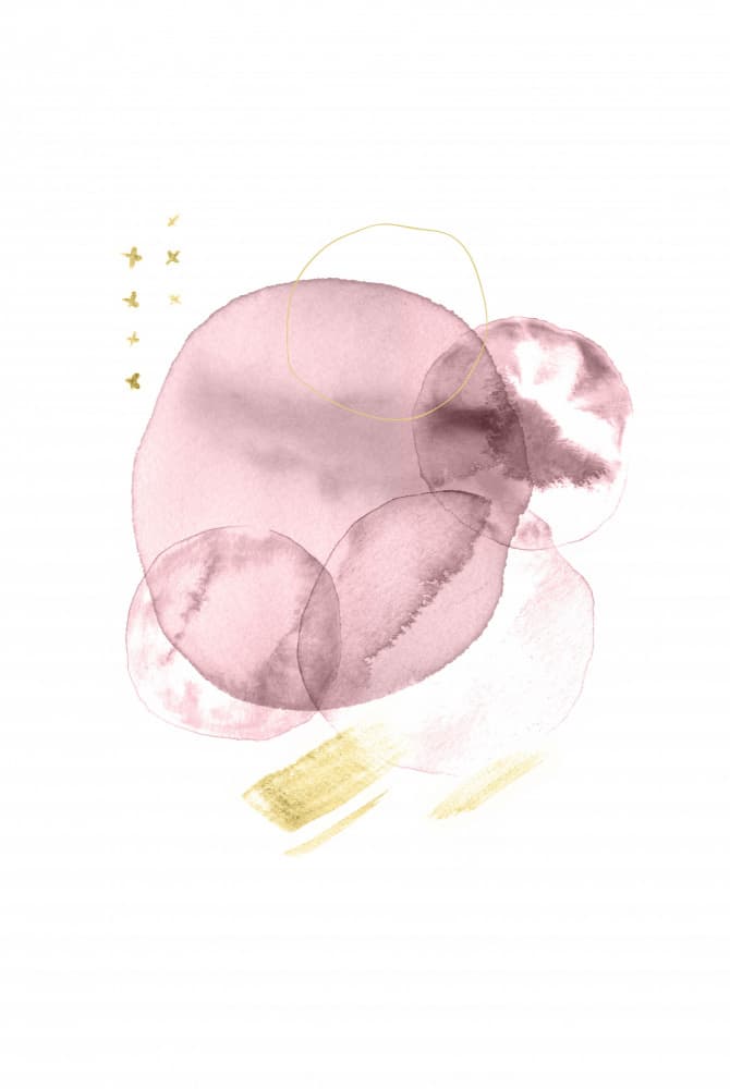 Blush Gold Fluid Shapes by Fabiana Silveira — canvas wall art