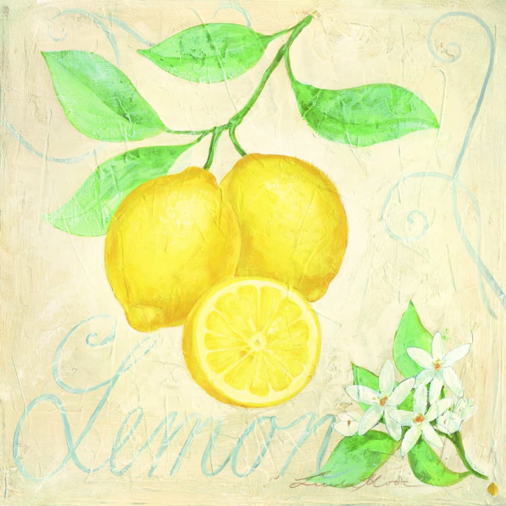 Fresh Lemons Botanical by Renate Holzner — canvas wall art