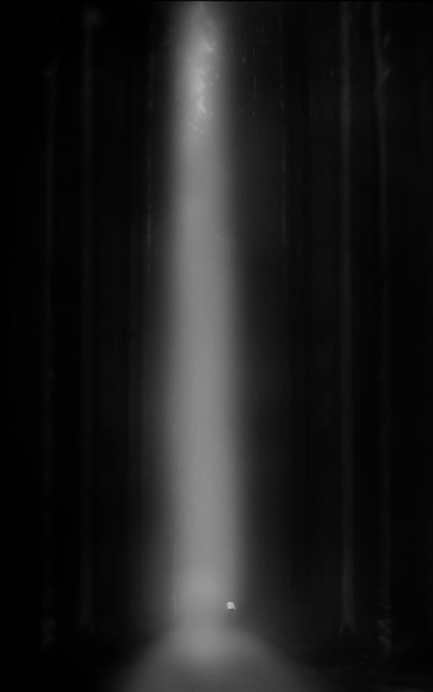 Mysterious Forest Light by Nic Keller — canvas wall art