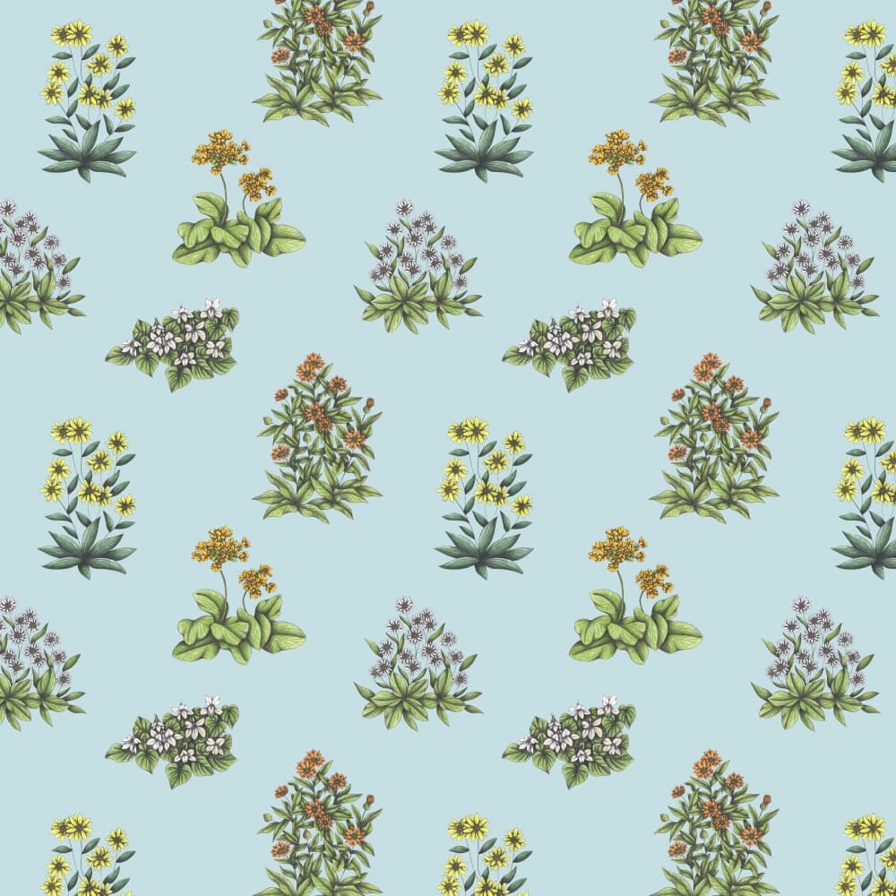 Delicate Floral Illustrations by Cecilia Battaini — canvas wall art