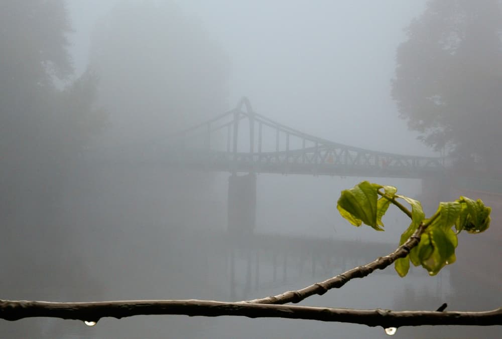 Misty River Green Leaves by Jacek Stefan — canvas wall art