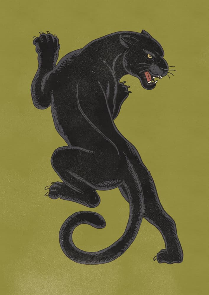Fierce Black Panther by Nicholas — canvas wall art