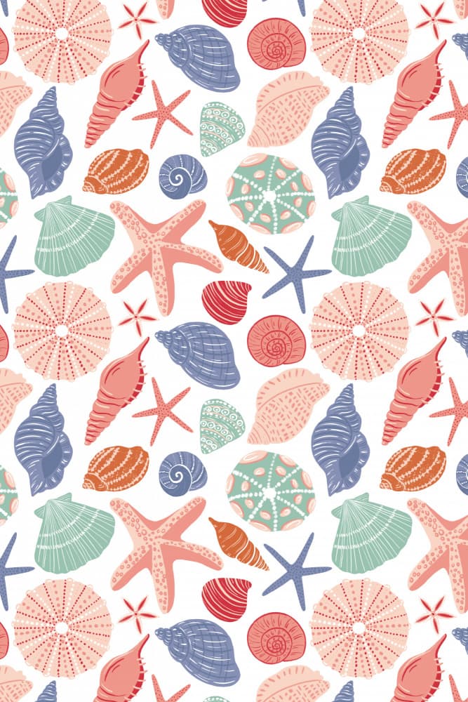 Coastal Seashells Pattern by Sarah Whittle — canvas wall art